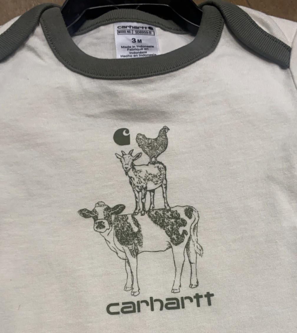 Carhartt Infant Boy's Short Sleeve Farm 2 Piece Onesie In Green