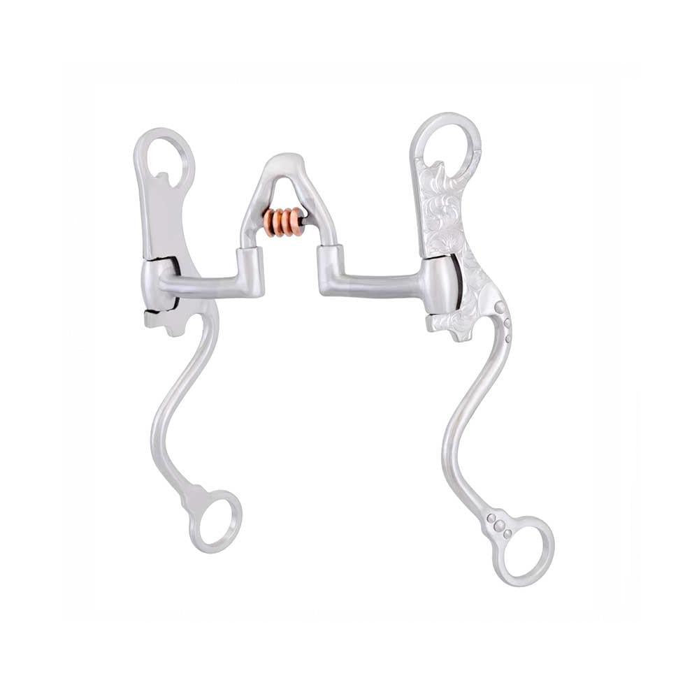 Cowboy Tack Francois Gauthier Cathedral Correctional Bit