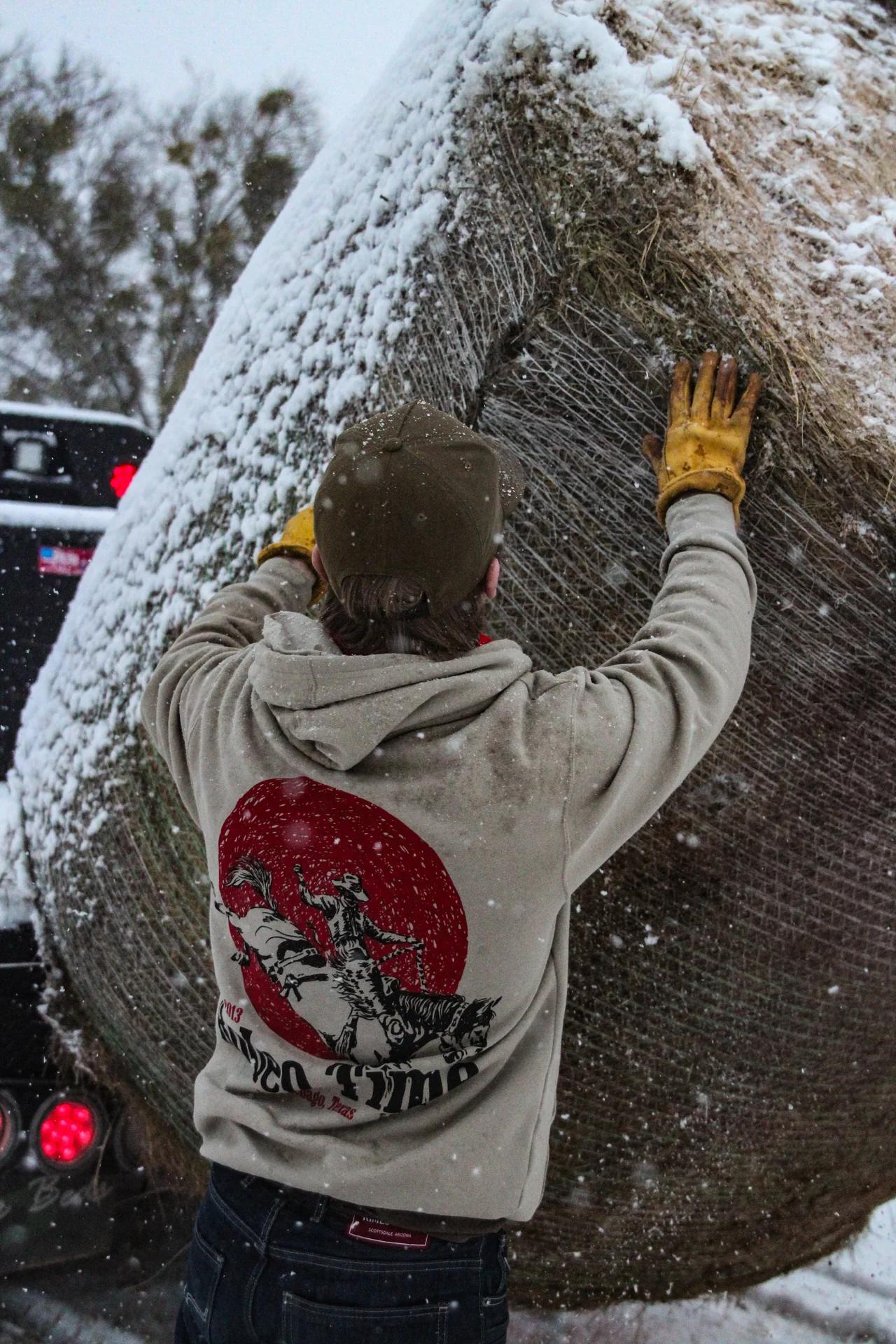 Dale Brisby "Cashin Checks" Hoodie