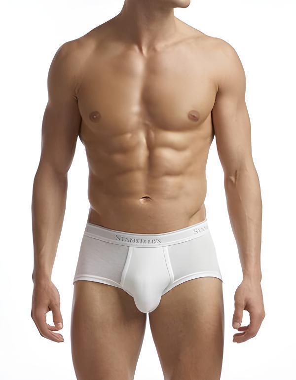 Stanfield's Men's Premium Brief - Three Pack weis-western-wear