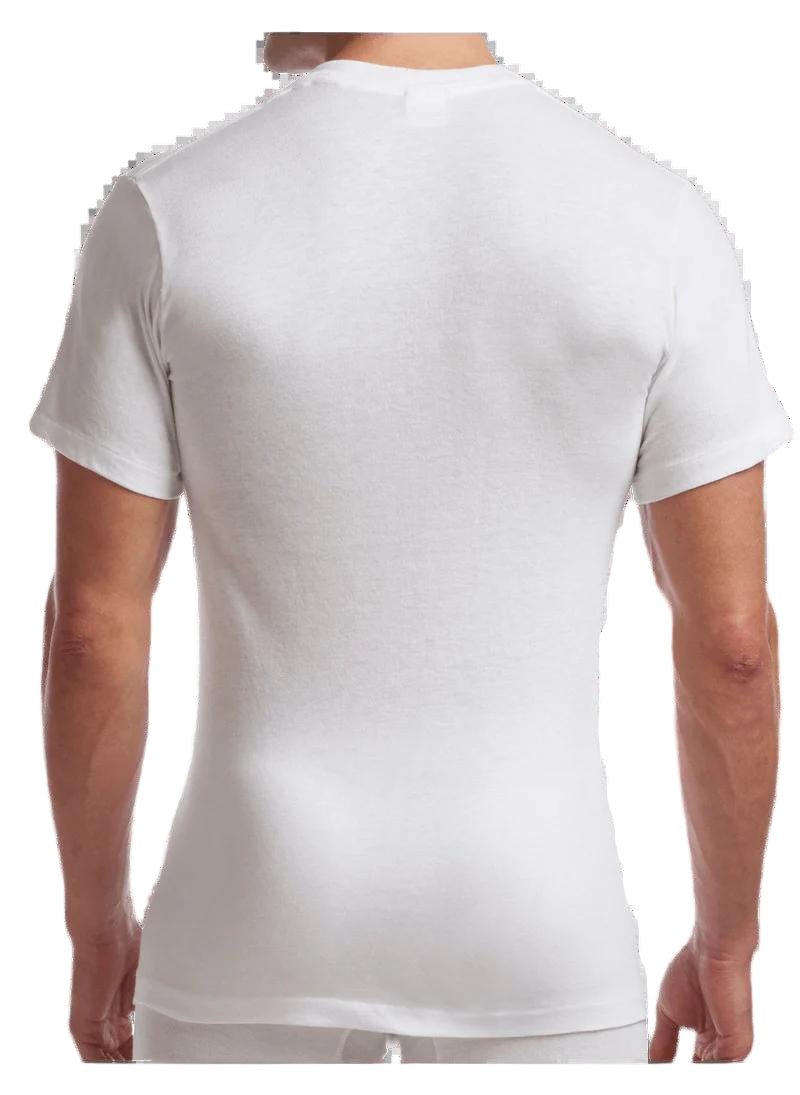 Stanfield's Men's Supreme V neck T-shirts 6755,6756 - Stanfield's