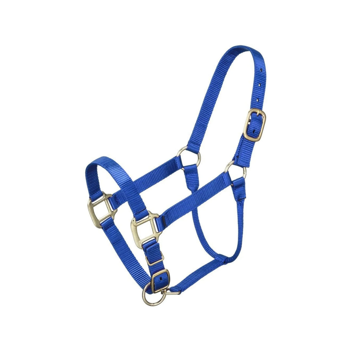 Tough 1 Halter Yearling