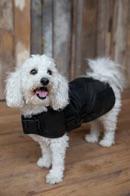 Outback Trading Clancy Oilskin Dog Coat