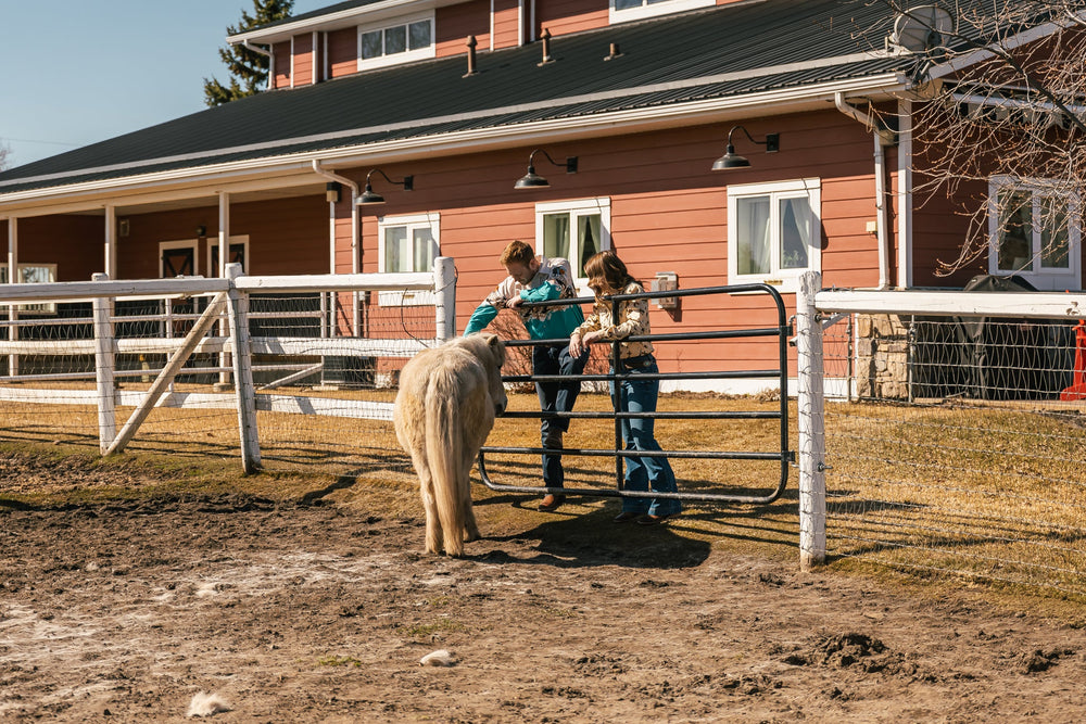 Western Wear on a Budget: Affordable Fashion Tips