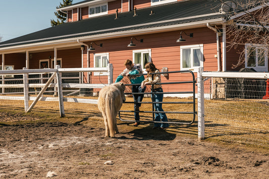 Western Wear on a Budget: Affordable Fashion Tips