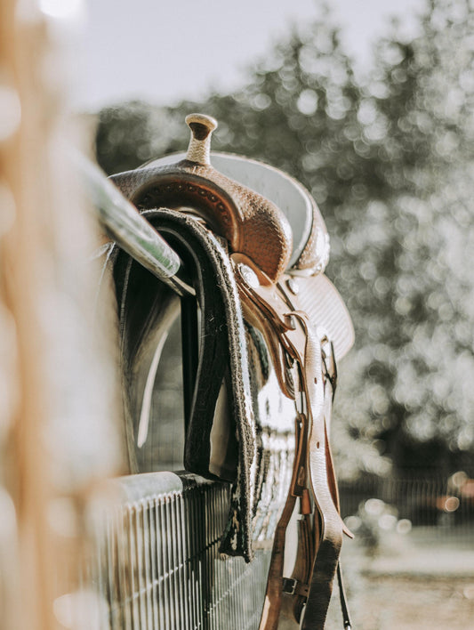 Wei's Western Wear: Legendary Selection Since 1956 - Wei's Western Wear