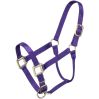 Tough 1 Halter Yearling