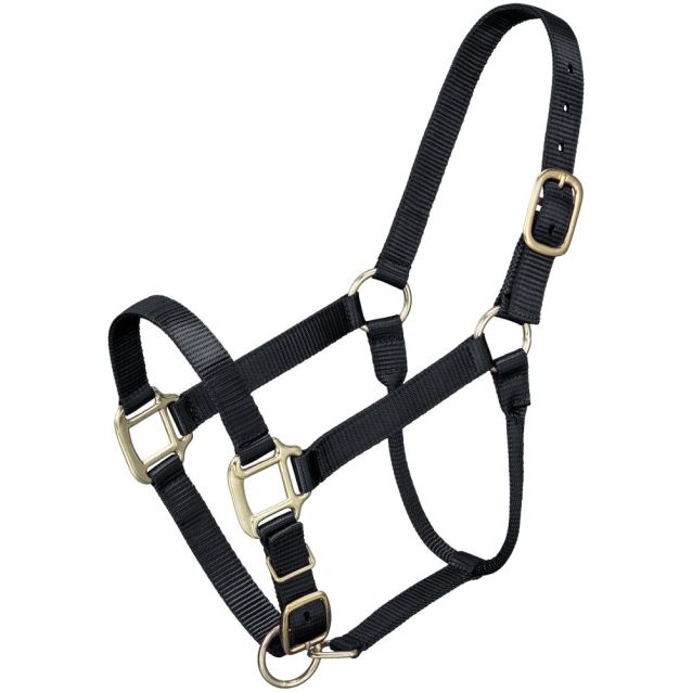 Tough 1 Halter Yearling