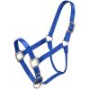 Tough 1 Halter Yearling