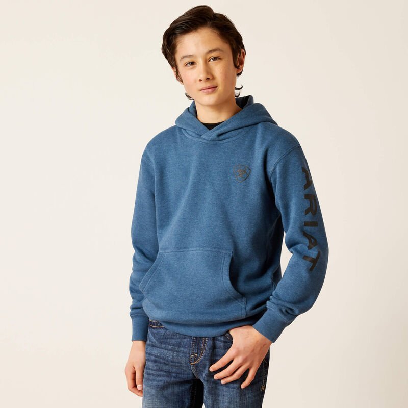 Ariat Boy's Logo Hoodie 10046472