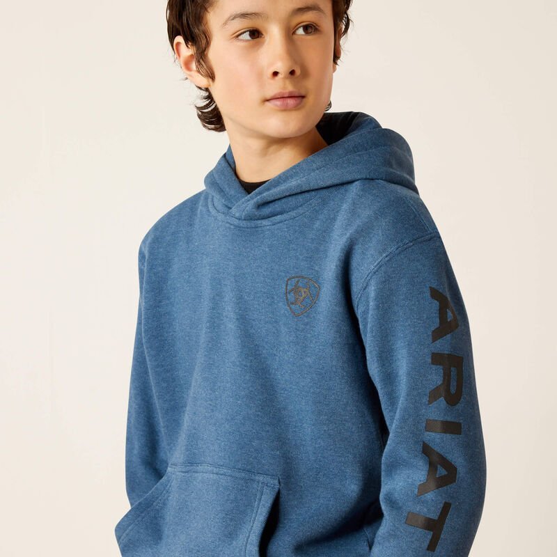 Ariat Boy's Logo Hoodie 10046472