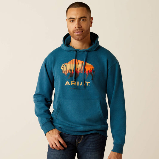 Ariat Men's Bison Plains Hoodie 10052459