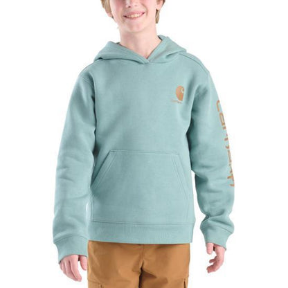 Carhartt Boys' Long Sleeve Graphic Sweatshirt Child/Youth weis-western-wear