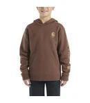 Carhartt Kid's Long Sleeve Graphic Hoodie CA6581-CT06, CA6581-CB57