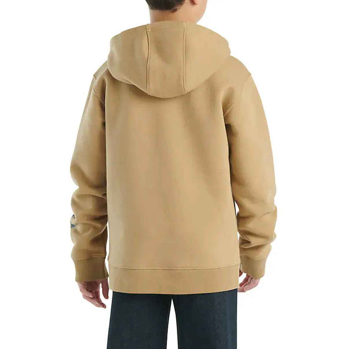 Carhartt Kid's Long Sleeve Graphic Hoodie CA6581-CT06, CA6581-CB57