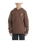 Carhartt Kid's Long Sleeve Graphic Hoodie - CLEARANCE