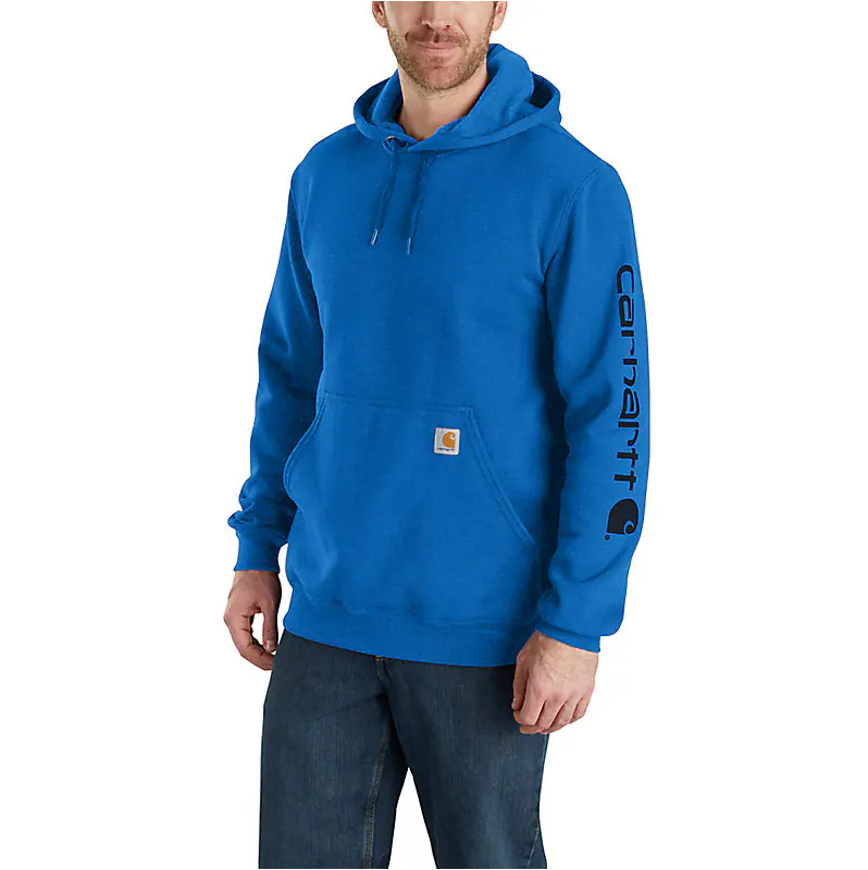 Carhartt Men's Loose Fit Sleeve Graphic Hoodie K288 (Q90, HH7, BLM)