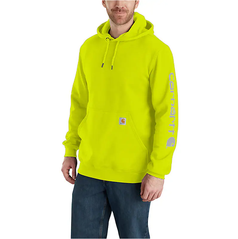 Carhartt Men's Loose Fit Sleeve Graphic Hoodie K288 (Q90, HH7, BLM)