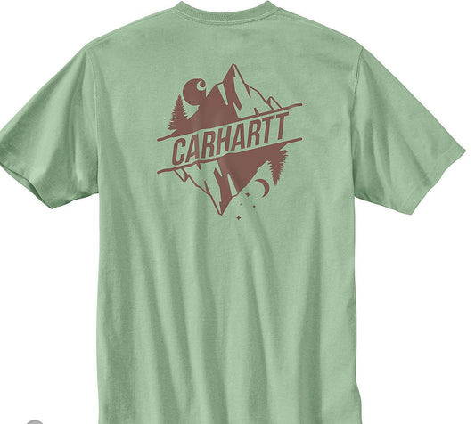 Carhartt Men's T-Shirt Heavyweight Graphic Relaxed Fit - Clearance