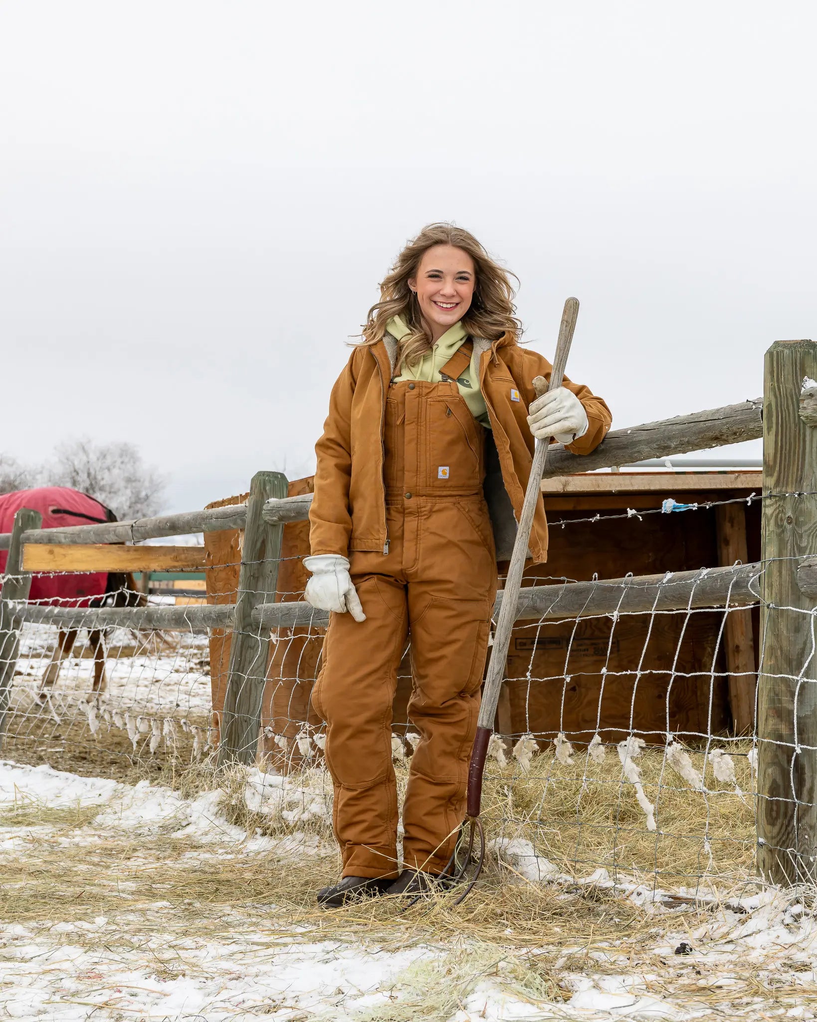 Dkb Carhartt Lined Overalls Womens Carhartt Bib Overalls Womens