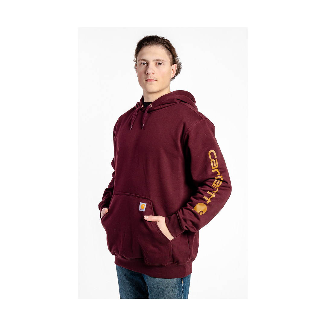 Carhartt Loose Fit Logo Sleeve Graphic Hoodie