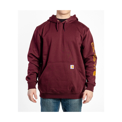Carhartt Loose Fit Logo Sleeve Graphic Hoodie