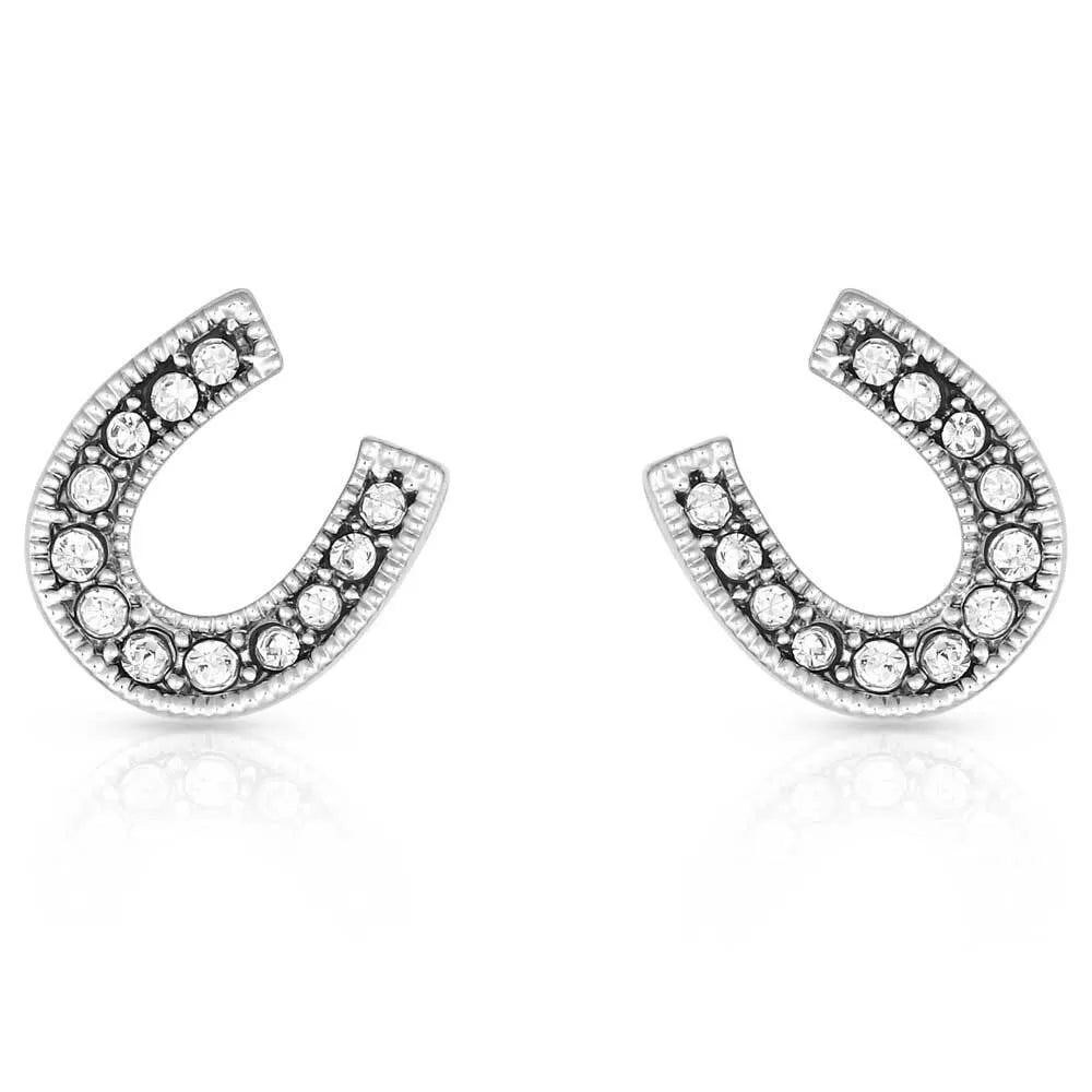 Montana Silver Crystal Clear Stuck on Luck Post Earrings