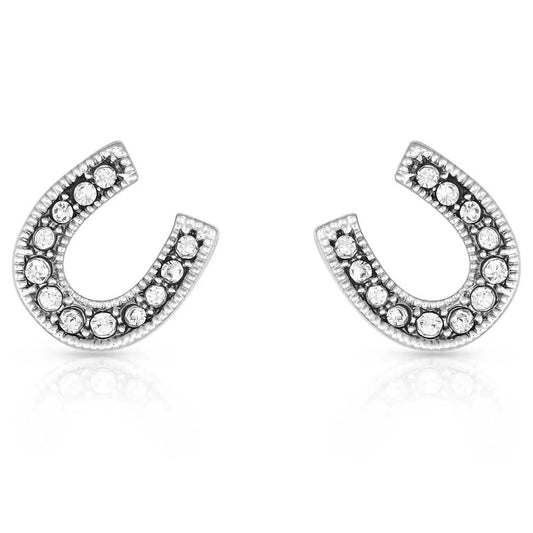 Montana Silver Crystal Clear Stuck on Luck Post Earrings