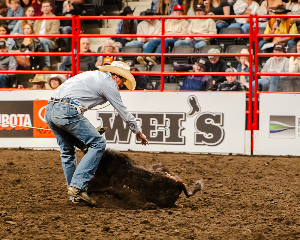 RED DEER PRO RODEO x WEI'S WESTERN WEAR