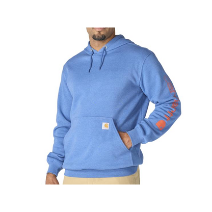 Carhartt Loose Fit Logo Sleeve Graphic Hoodie