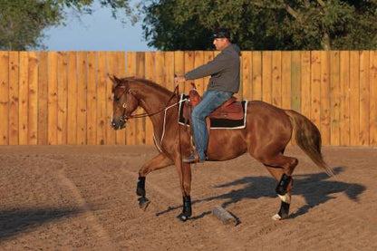 Professional's Choice Adjustable Rope Training Fork weis-western-wear