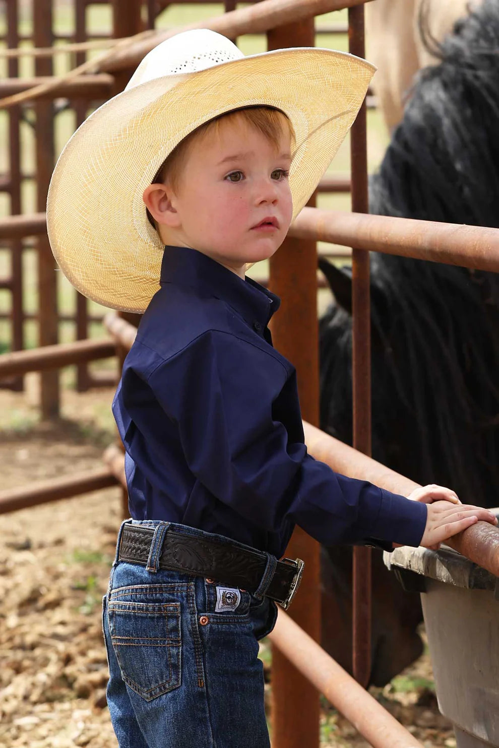 Cinch Infant Boys Royal Blue Button Up-Match Dad weis-western-wear