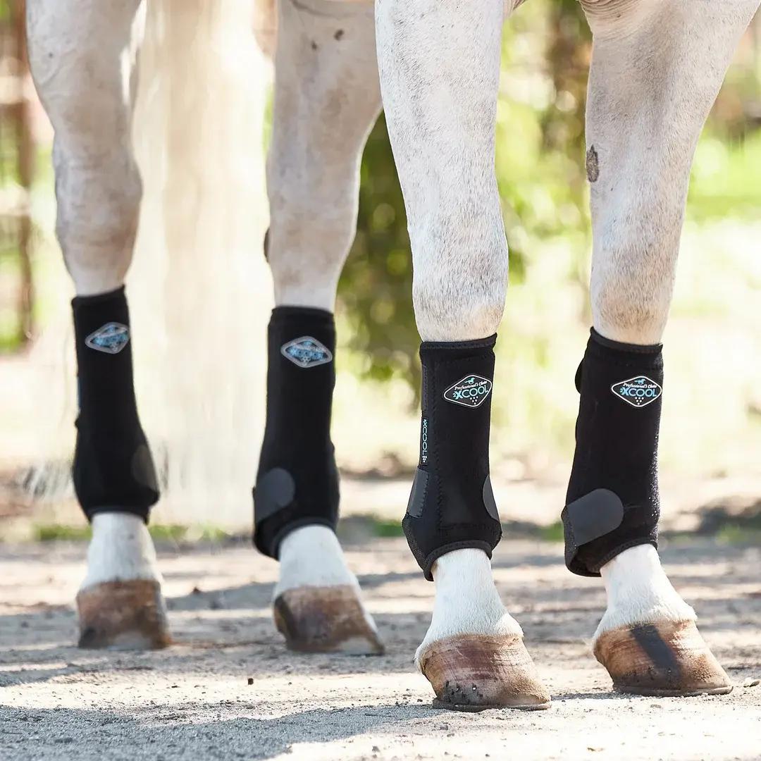 Professional's Choice 2x Cool SMB 4 Packs - XC4