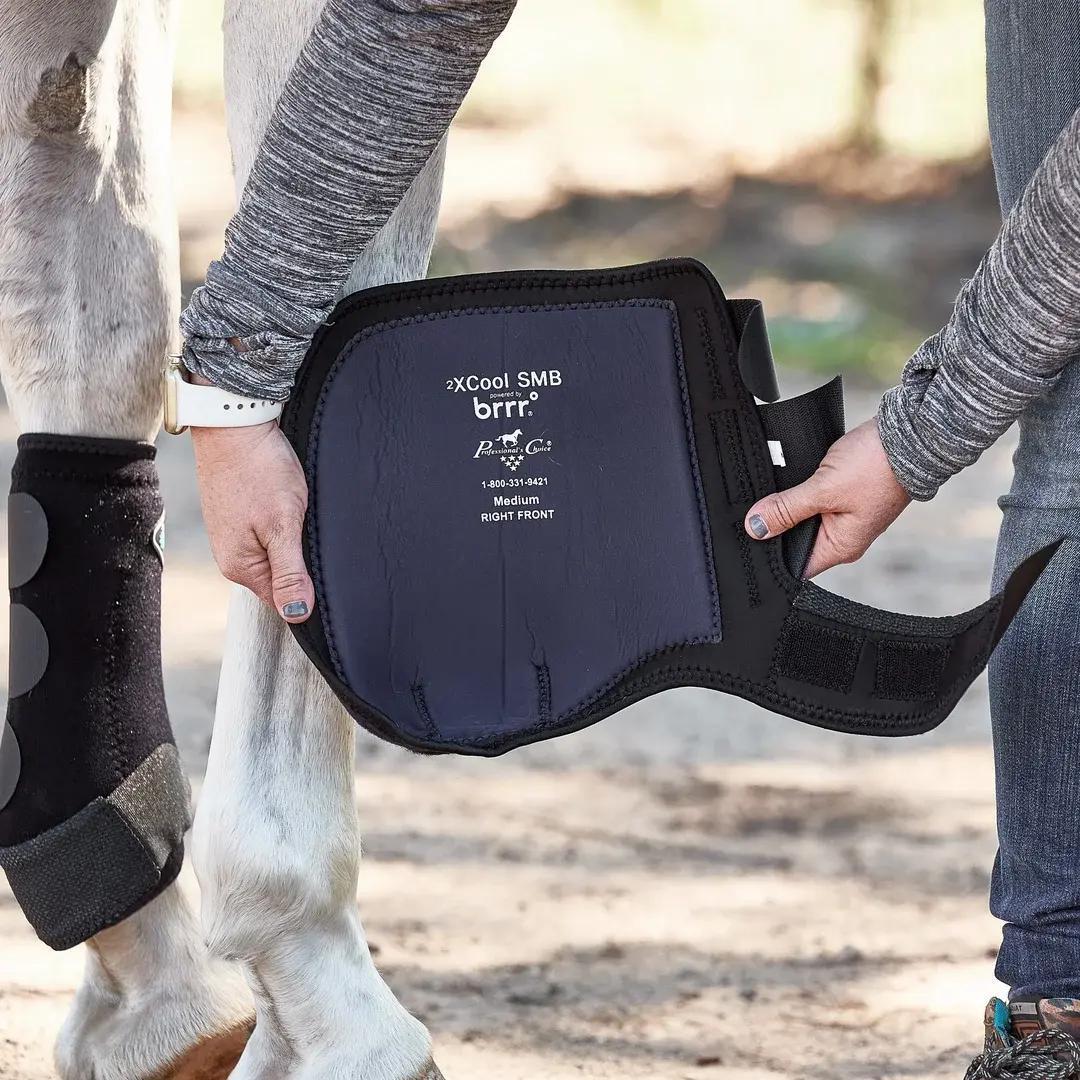 Professional's Choice 2x Cool SMB 4 Packs - XC4