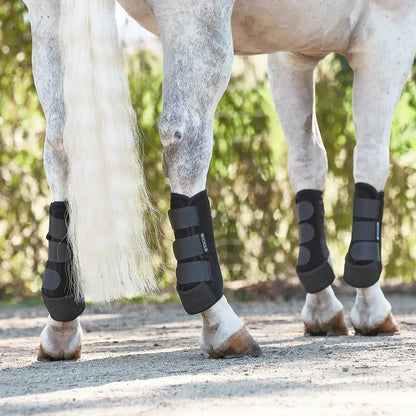 Professional's Choice 2x Cool SMB 4 Packs - XC4