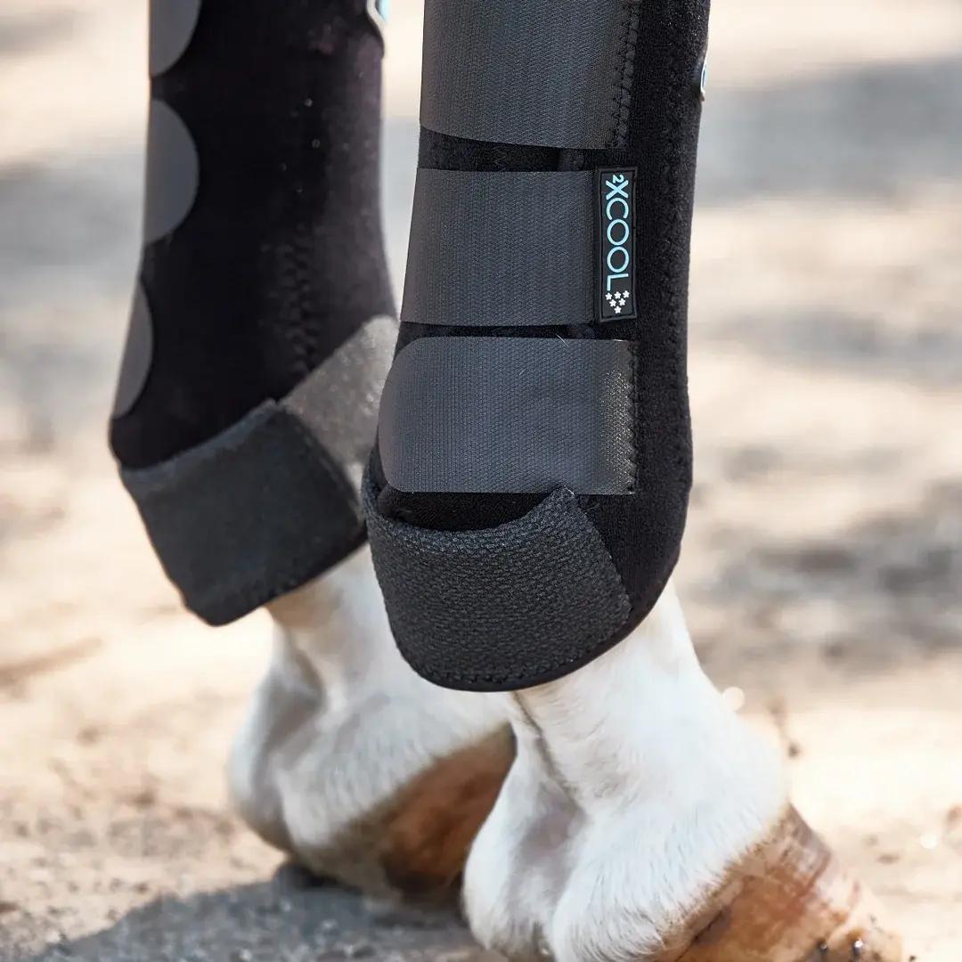 Professional's Choice 2x Cool SMB 4 Packs - XC4