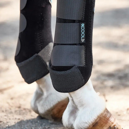 Professional's Choice 2x Cool SMB 4 Packs - XC4