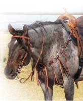 Professional's Choice Ring Tassle Breast Collar weis-western-wear