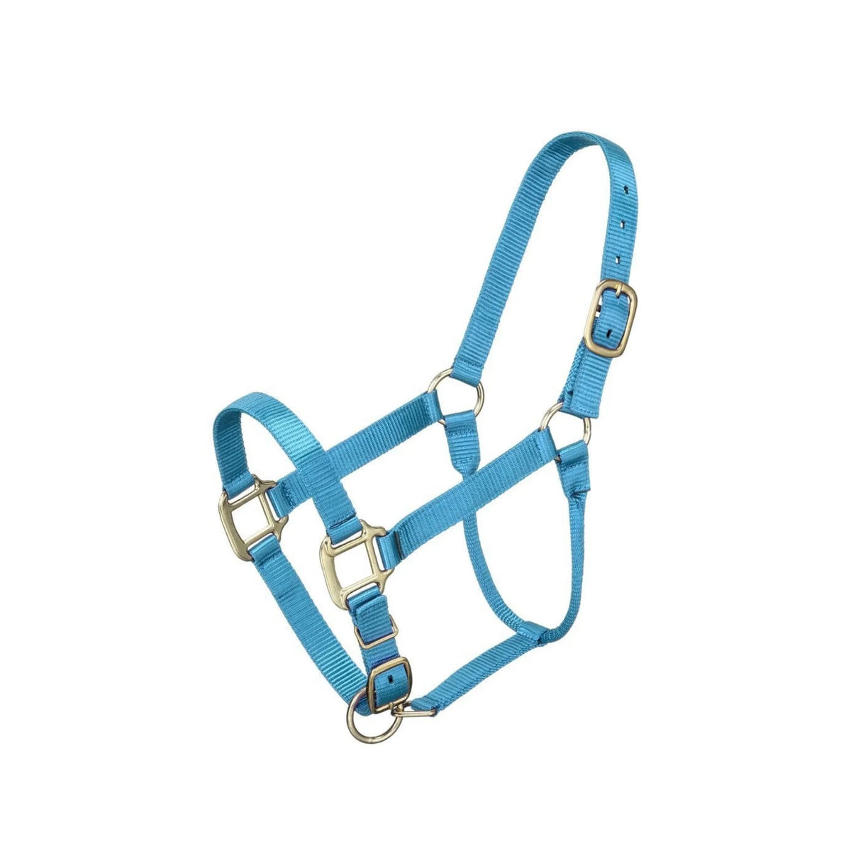 Tough 1 Halter Yearling