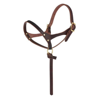 Weaver Figure 8 Foal Halter, Suckling