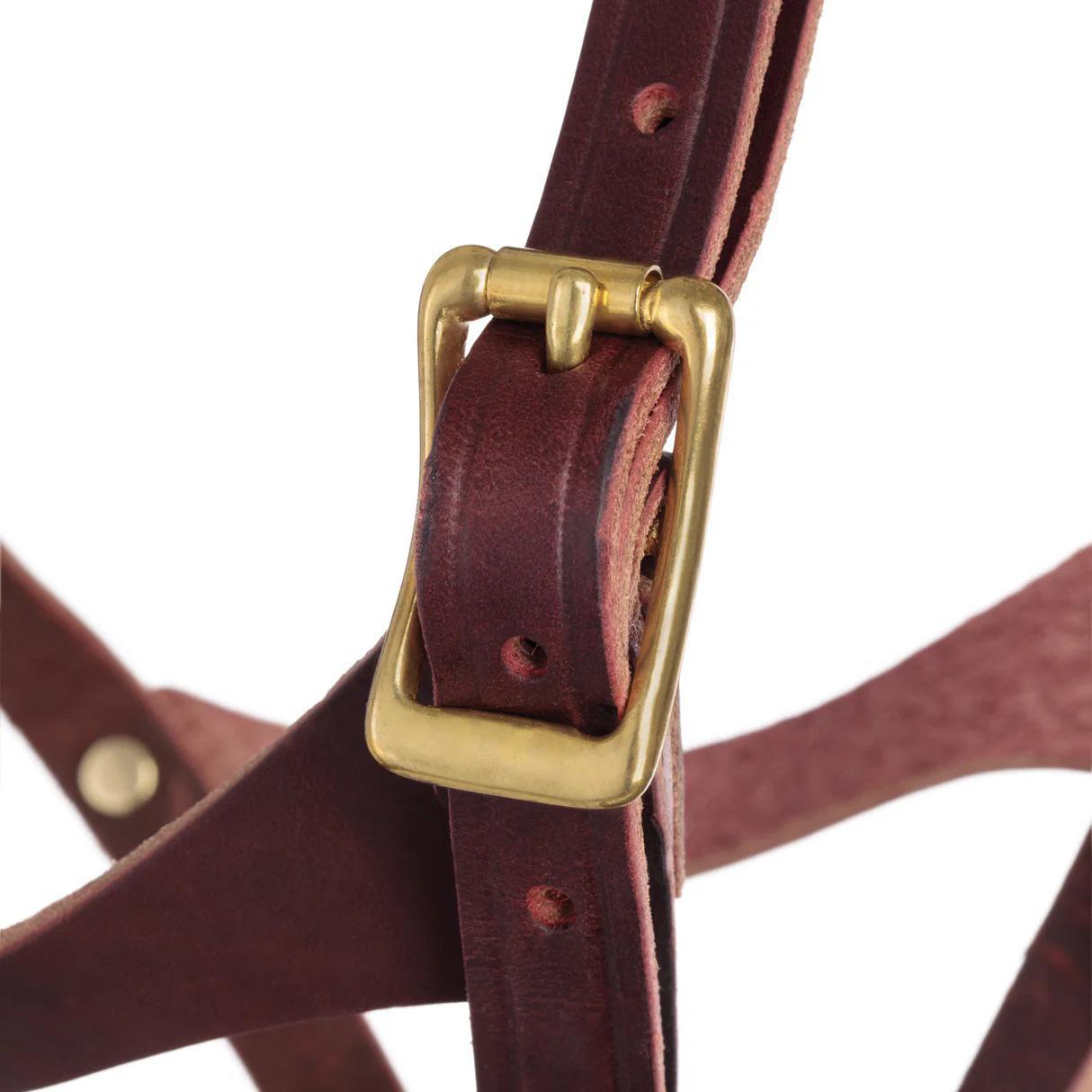 Weaver Figure 8 Foal Halter, Suckling