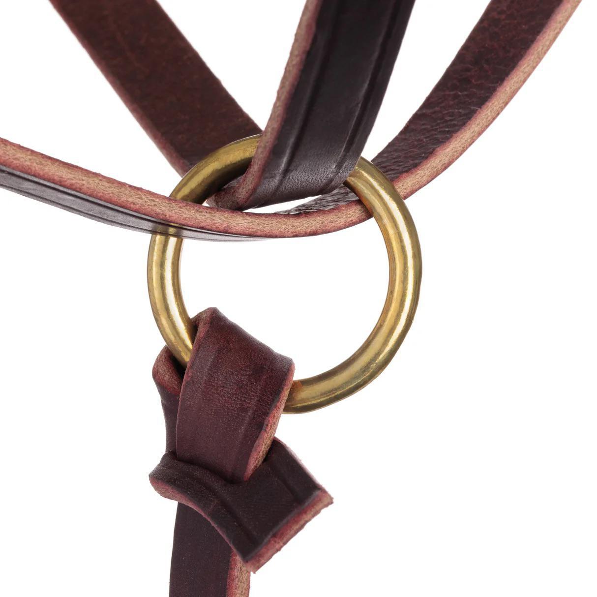 Weaver Figure 8 Foal Halter, Suckling