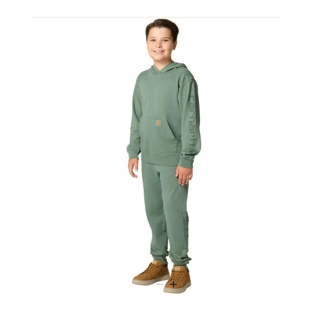 Carhartt Child/Boy's French Terry Graphic Sleeve Hoodie
