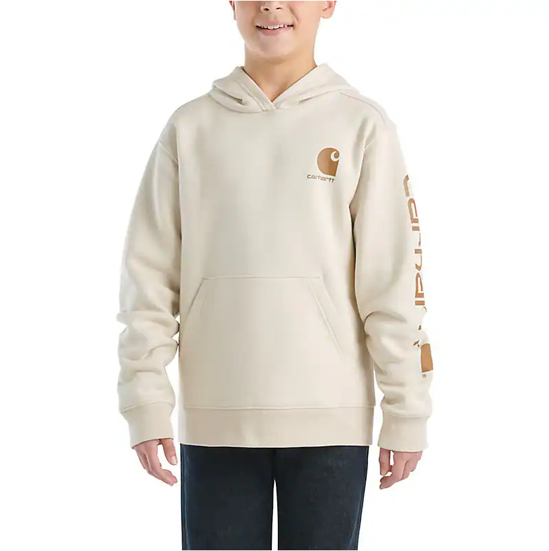 Carhartt Boy’s Hoodie Long Sleeve Graphic Carhartt Brown