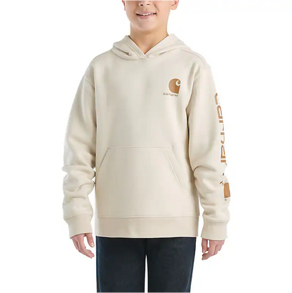 Carhartt Boy’s Hoodie Long Sleeve Graphic Carhartt Brown