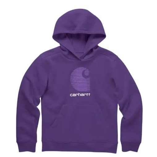 Carhartt Girl’s Hoodie Long Sleeve Violet Indigo CA9931 L190