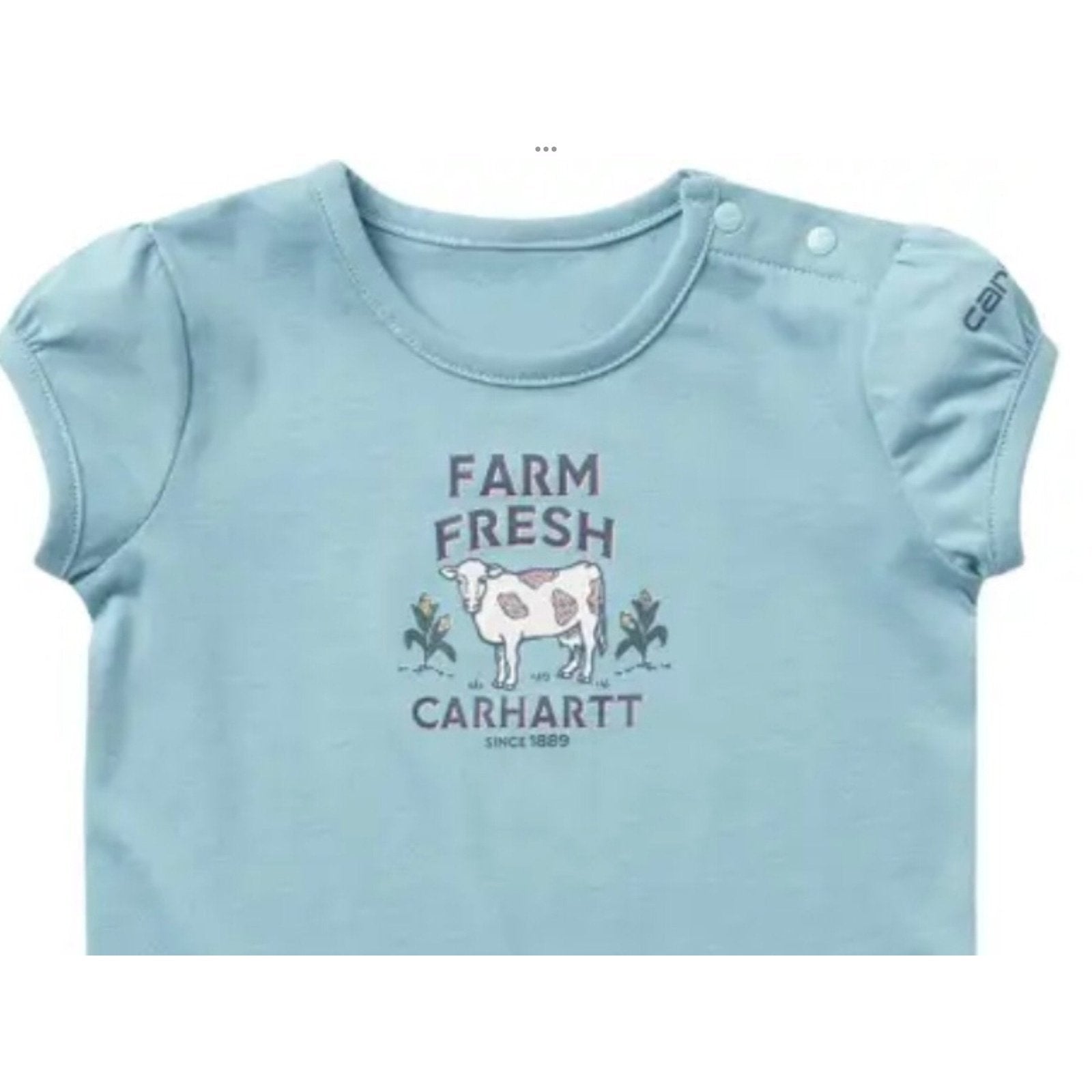 Carhartt Infant & Toddler's Onesie Farm Fresh CA9853