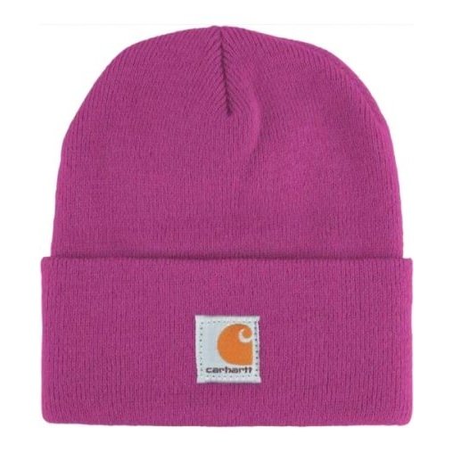 Carhartt Kid's Toque with Stitched Logo Various Colours
