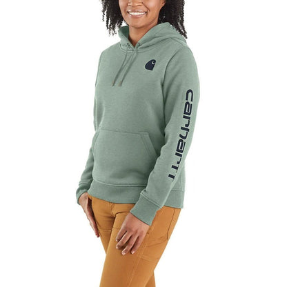 Carhartt Women's Hoodie Relaxed Fit Graphic Pullover 102791 Seasonal Colours