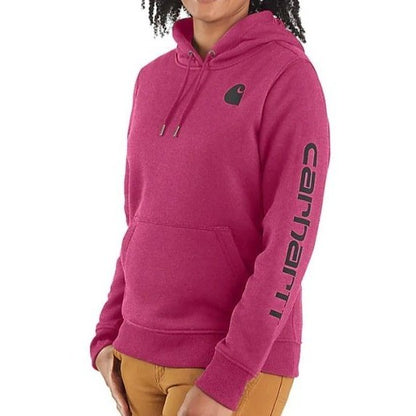 Carhartt Women's Hoodie Relaxed Fit Graphic Pullover 102791 Seasonal Colours